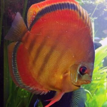 541466d20facbd84f0f9acfa11802abb